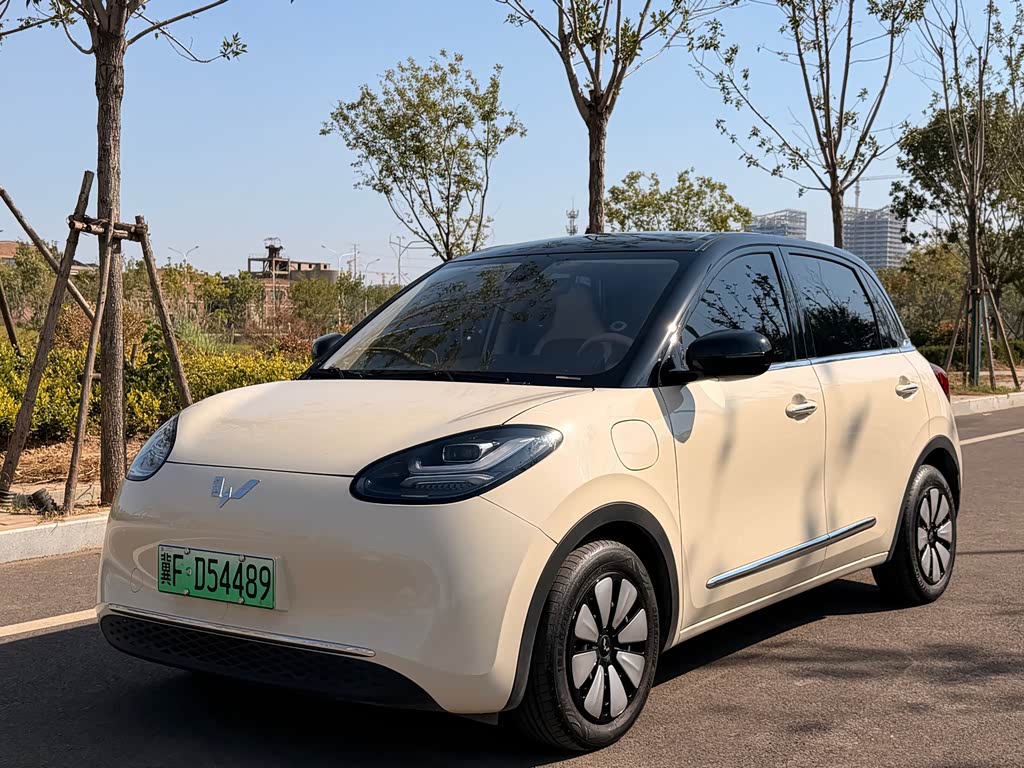 Wuling Binguo