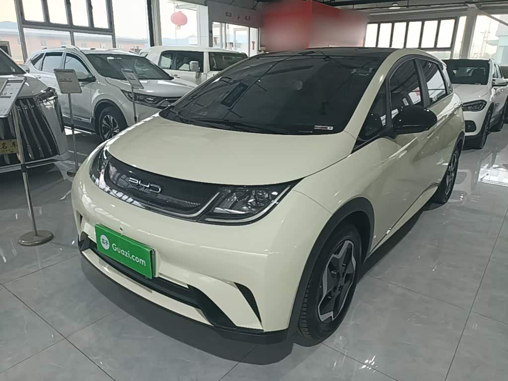 BYD Dolphin
