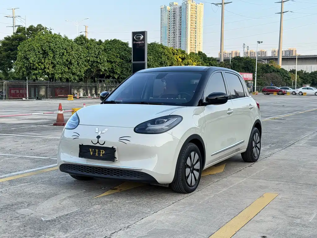Wuling Binguo