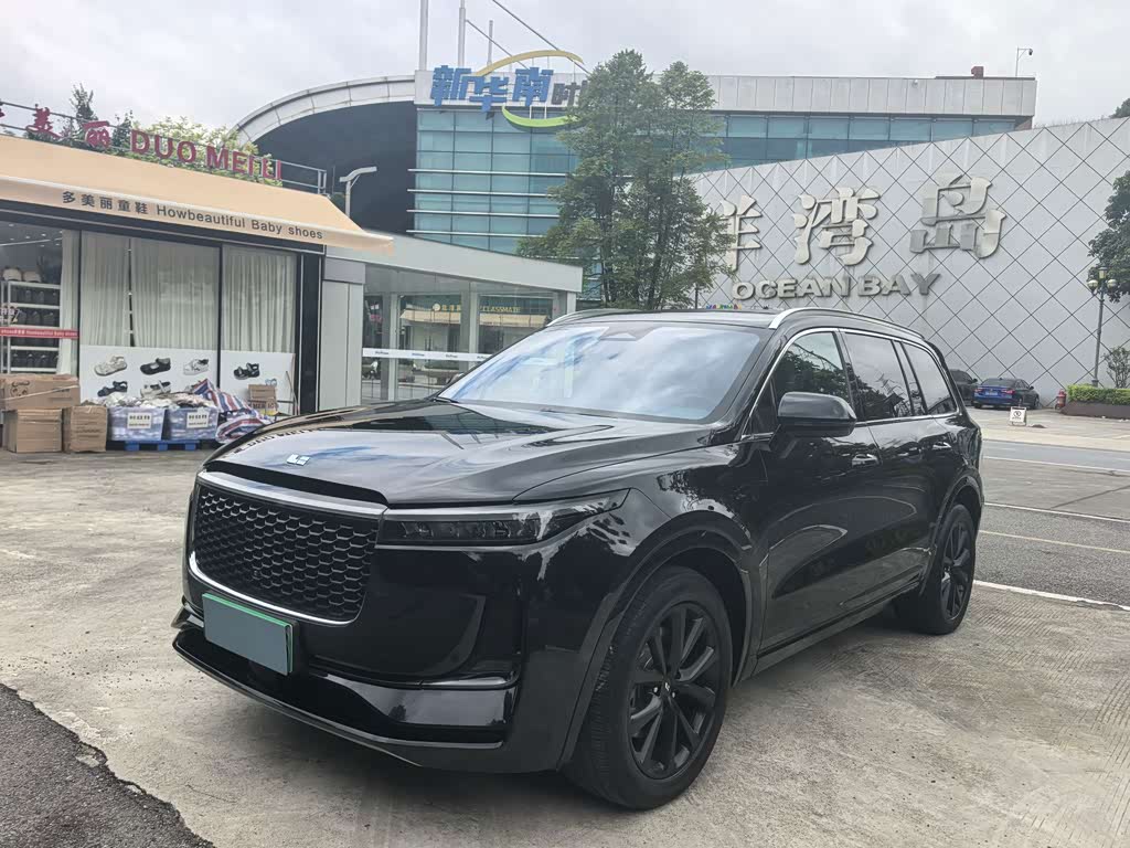 Li Auto ONE
