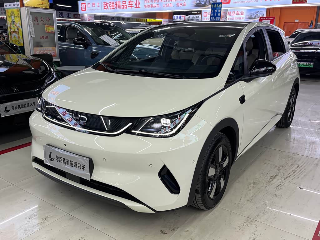 BYD Dolphin
