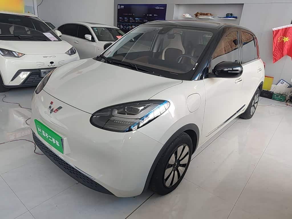 Wuling Binguo