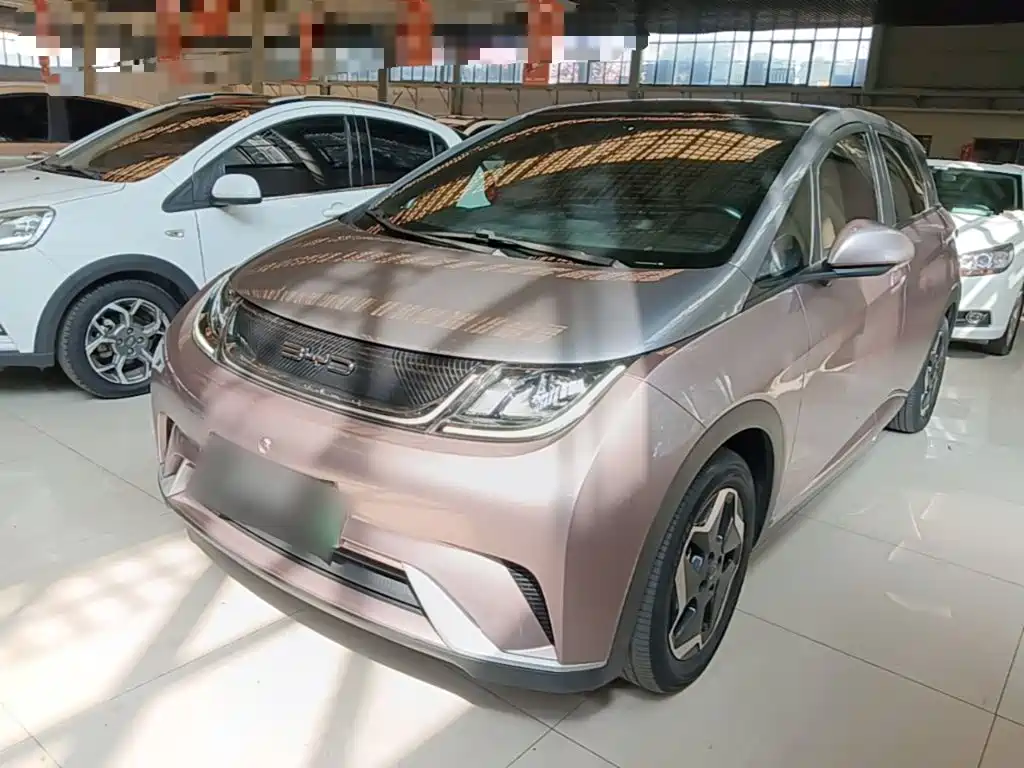 BYD Dolphin
