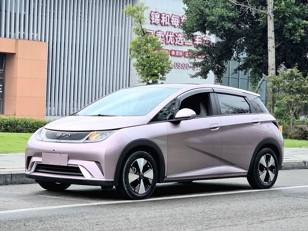 BYD Dolphin