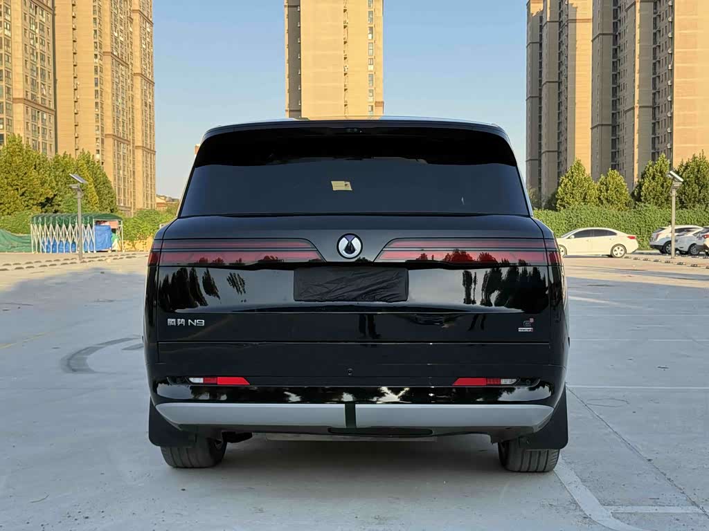 Denza N9