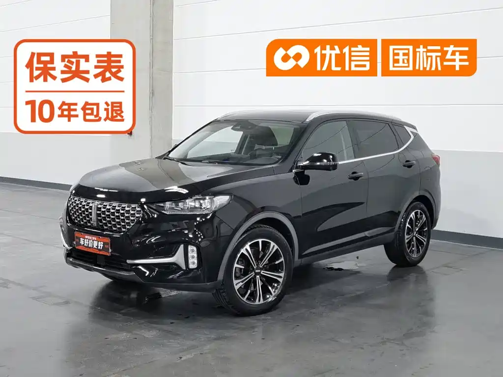 Wey VV6