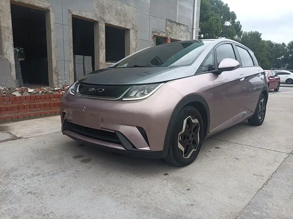 BYD Dolphin