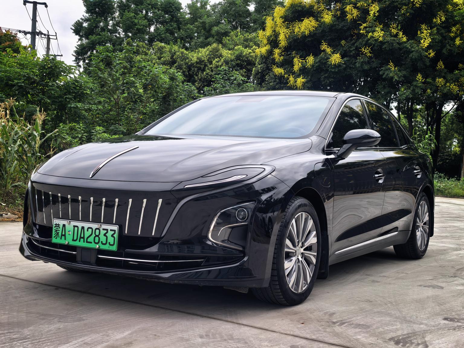 Hongqi E-QM5