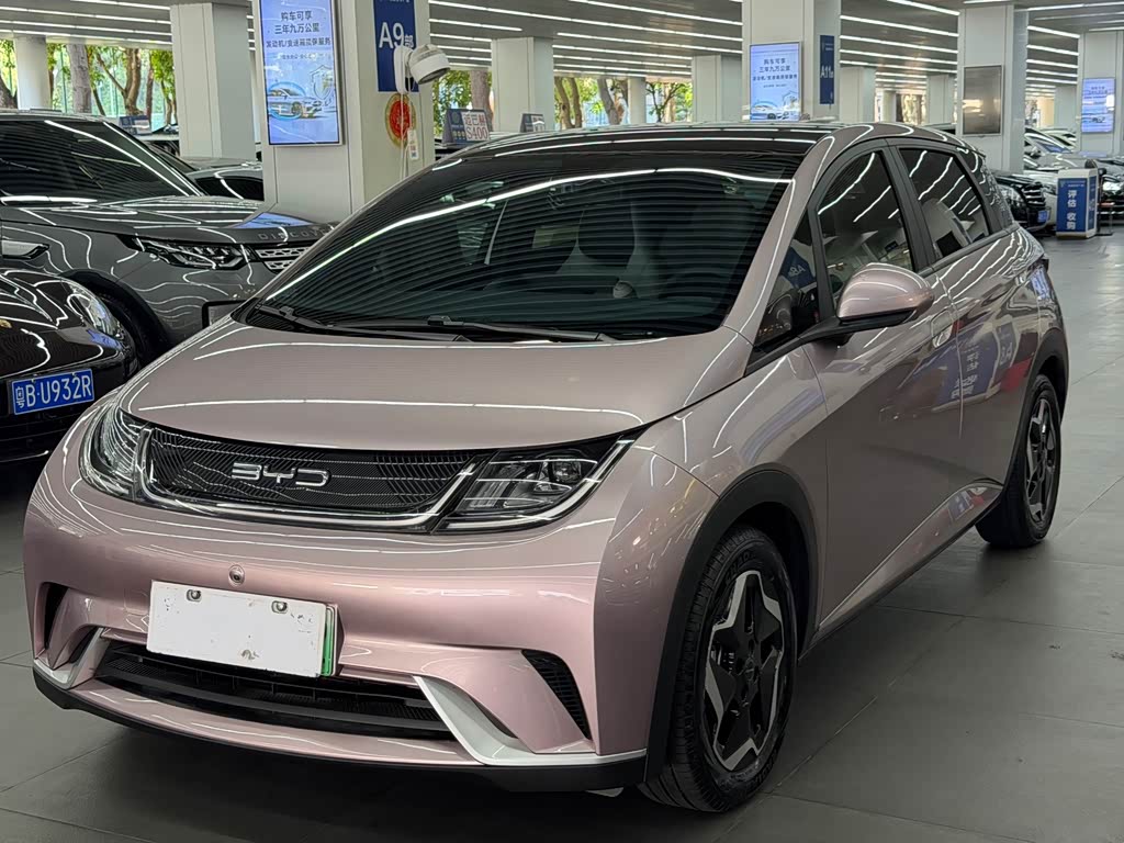 BYD Dolphin