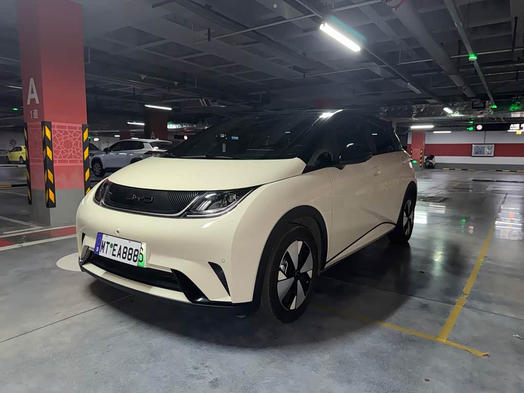 BYD Dolphin