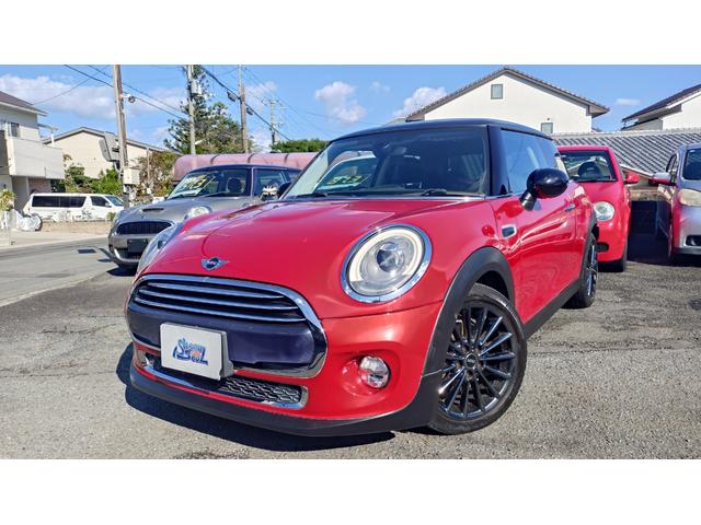 Mini Mini