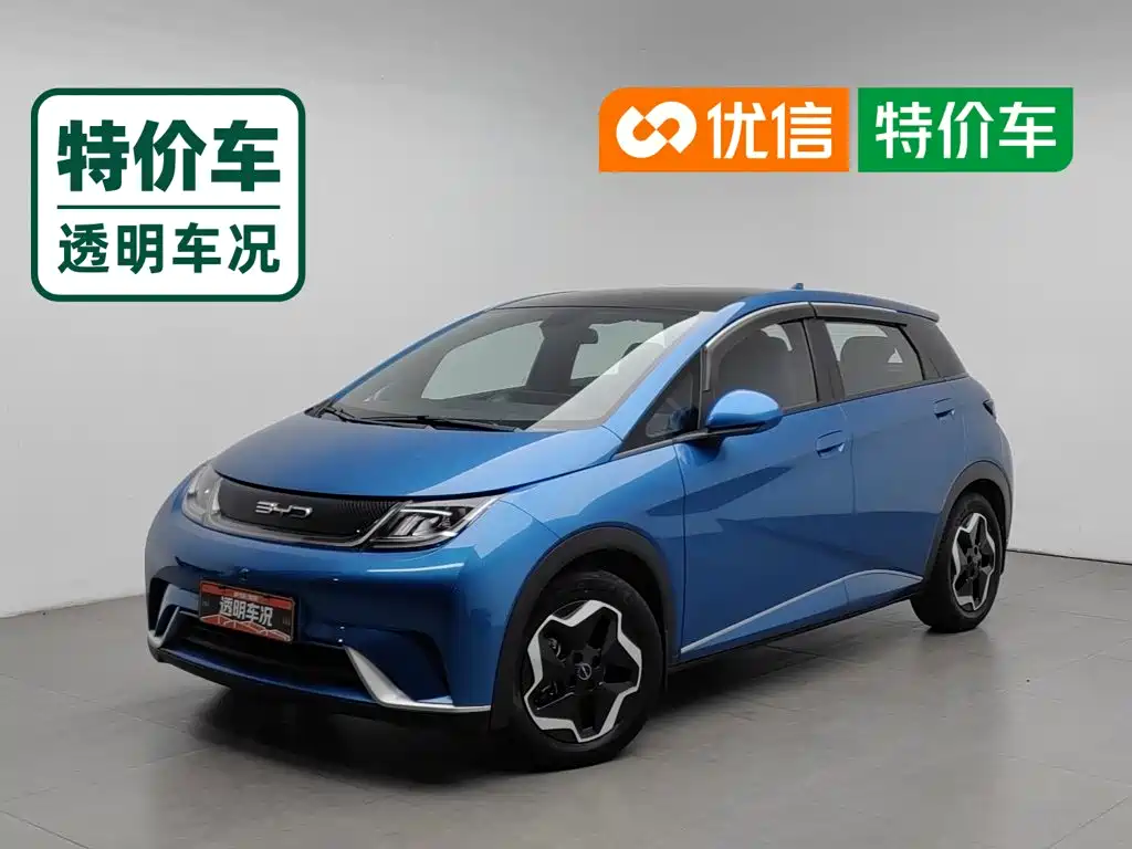 BYD Dolphin