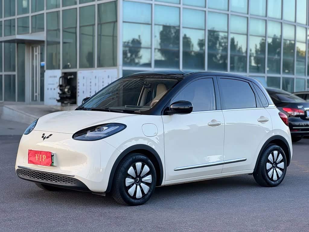 Wuling Binguo