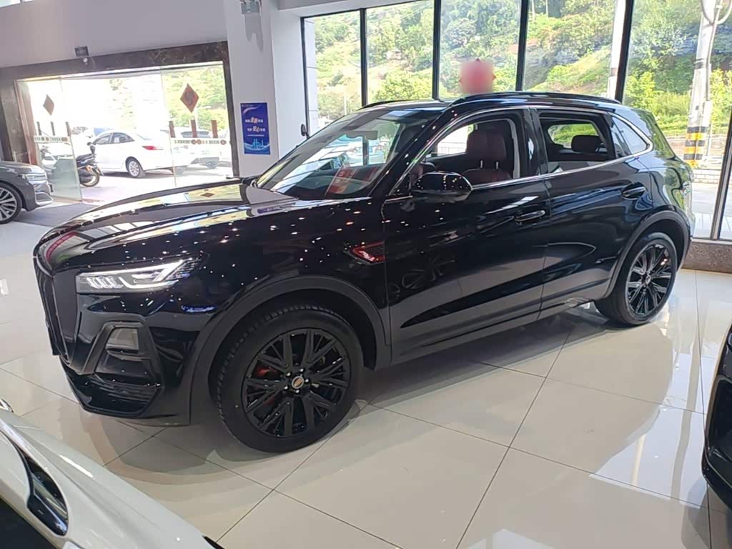 Hongqi HS5