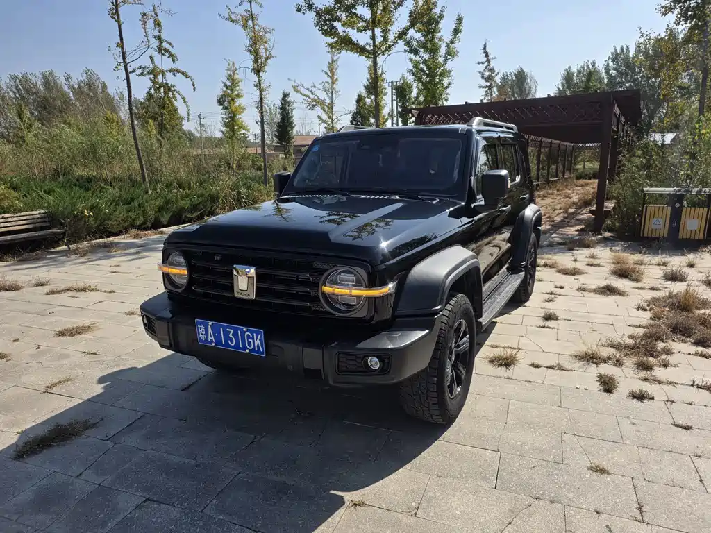 Tank 300