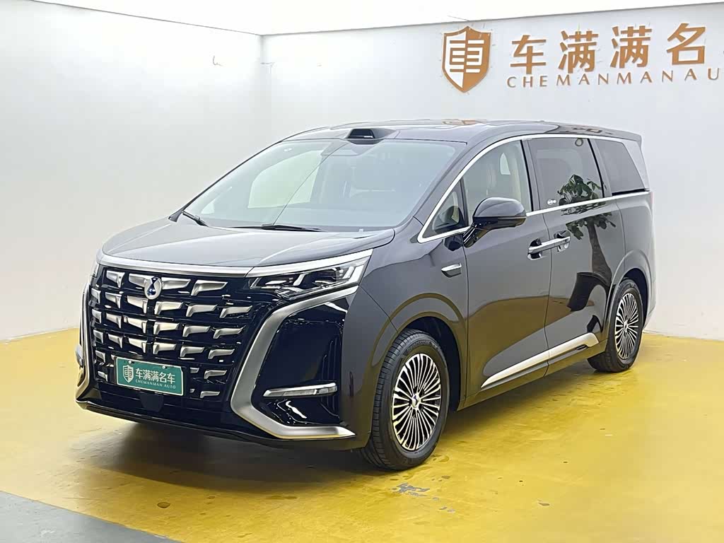 Denza D9