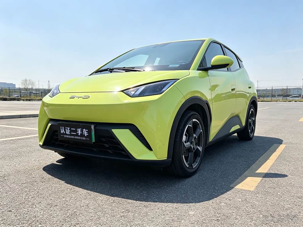 BYD Seagull