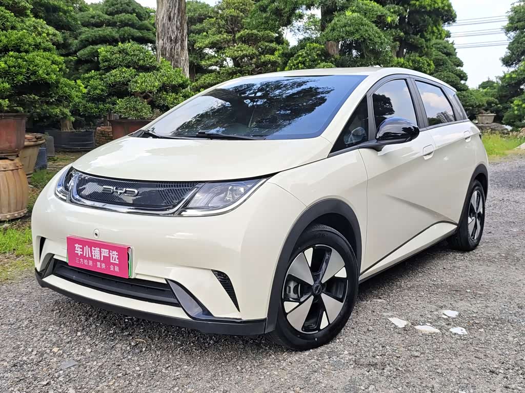 BYD Dolphin