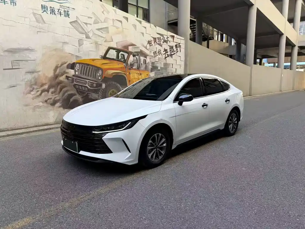 BYD Destroyer 05