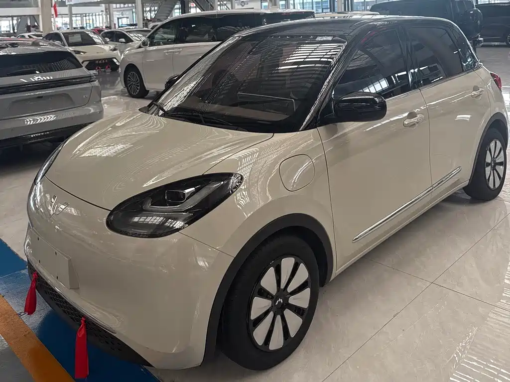 Wuling Binguo