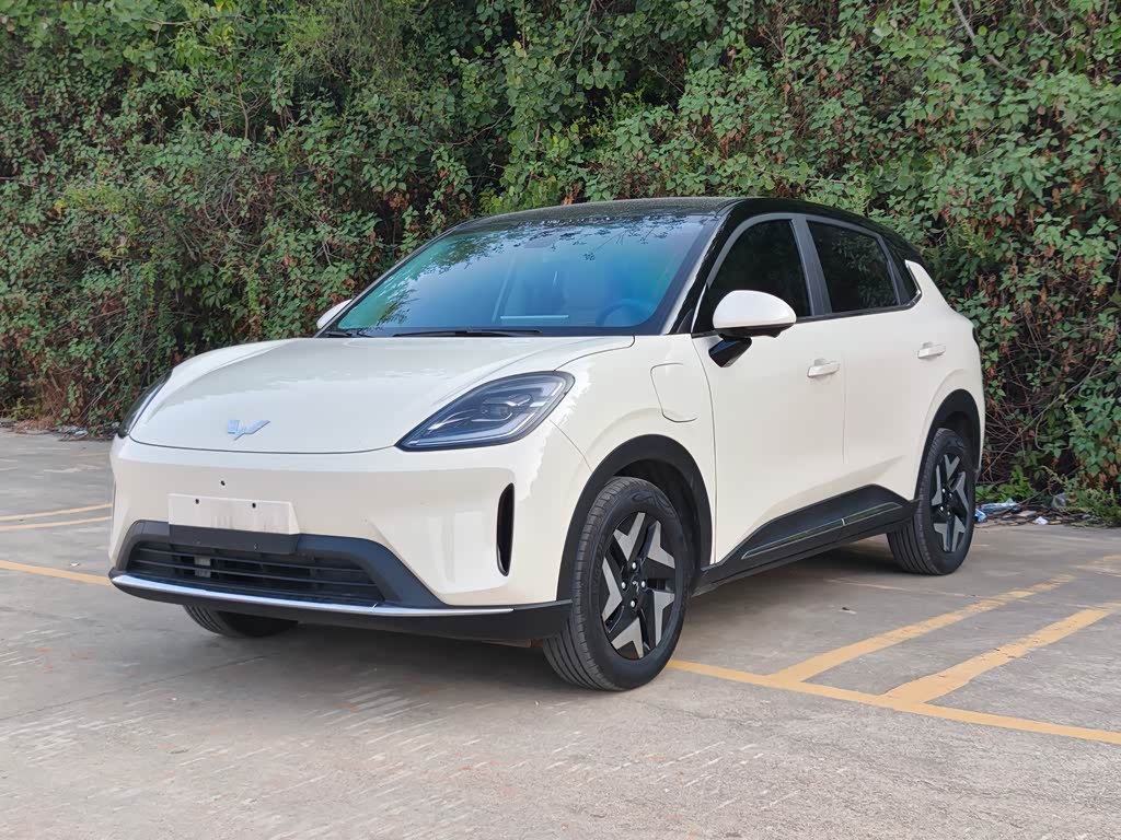 Wuling BinguoS