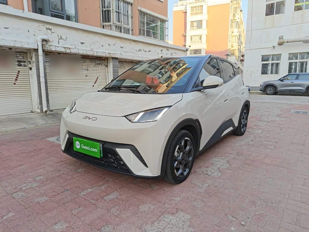 BYD Seagull