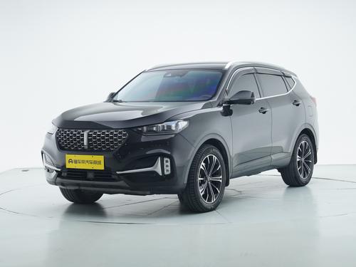 Wey VV6