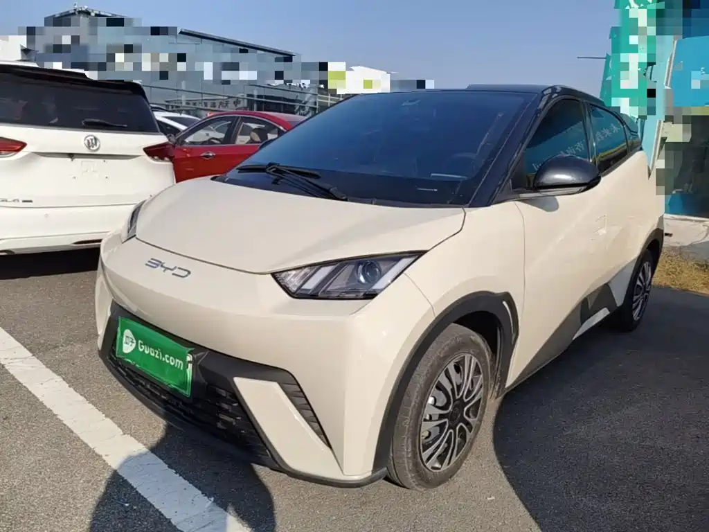 BYD Seagull