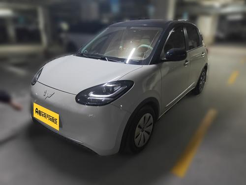 Wuling Binguo