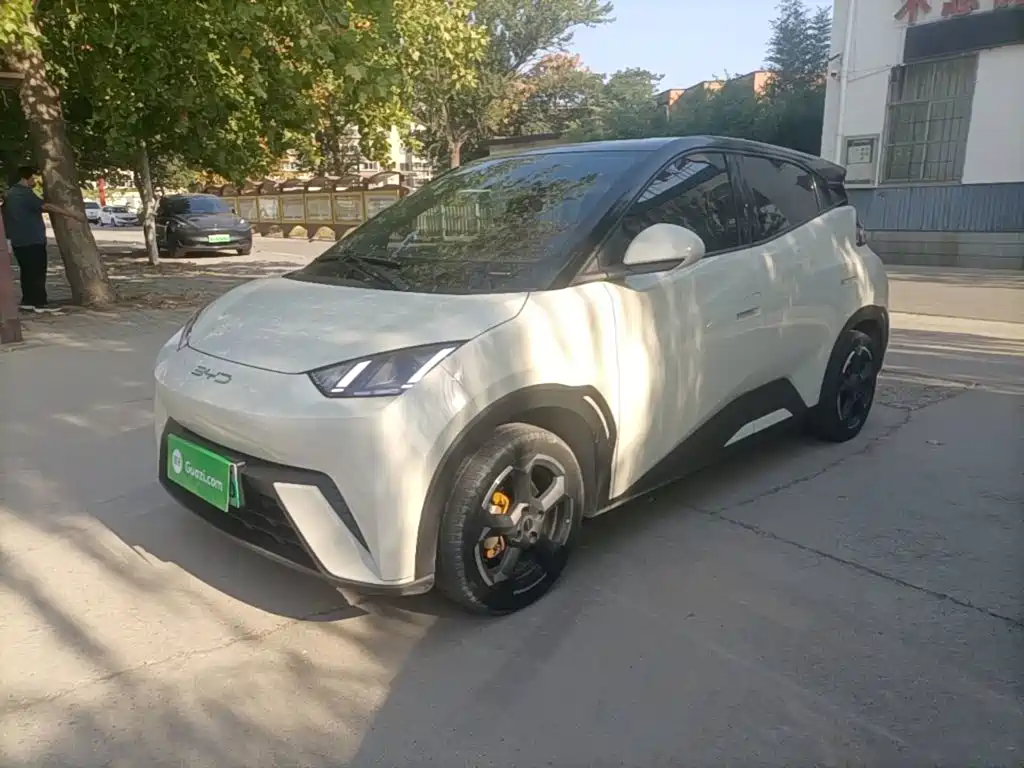 BYD Seagull