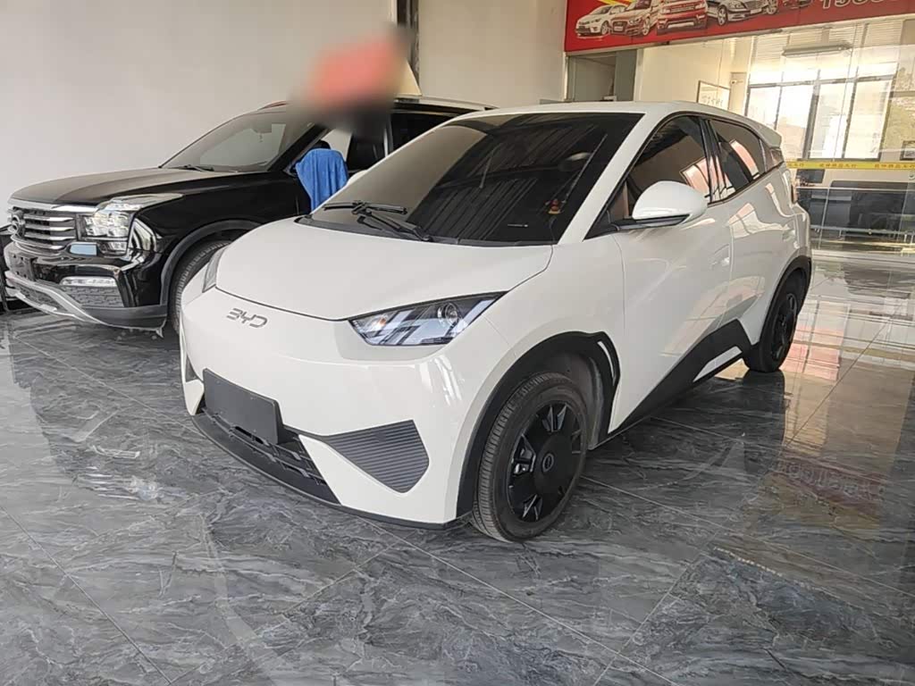 BYD Seagull