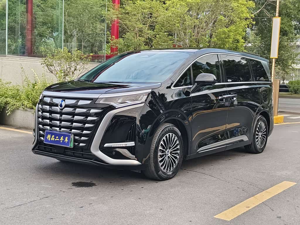 Denza D9