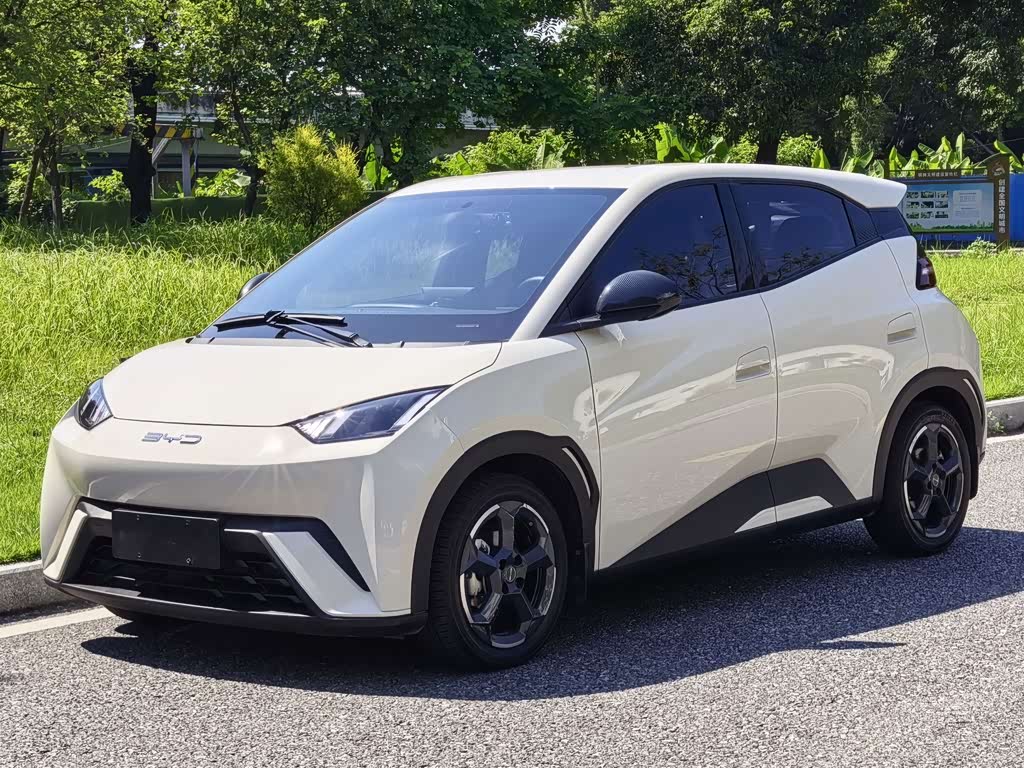 BYD Seagull