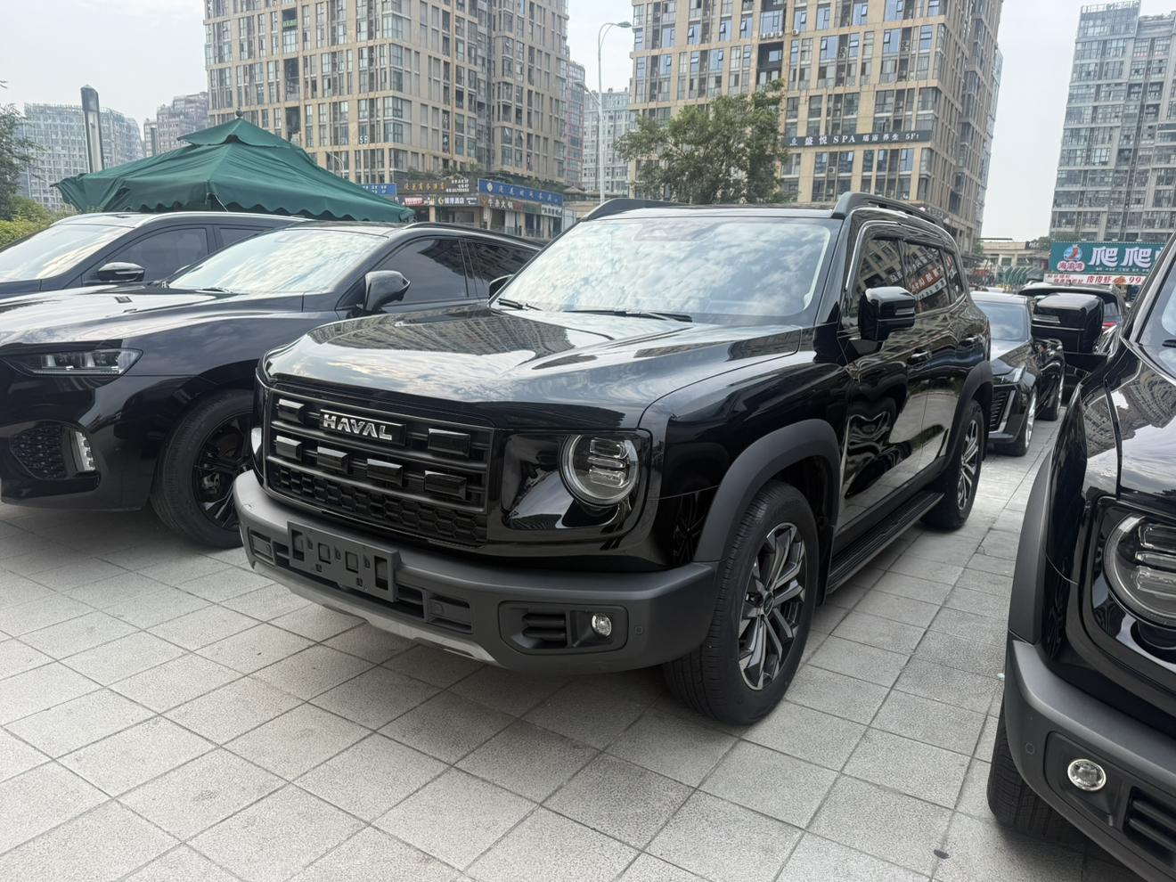 Haval Dargo