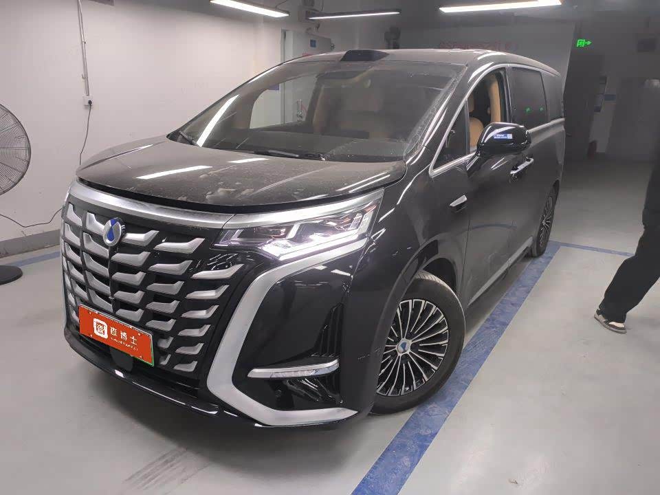 Denza D9