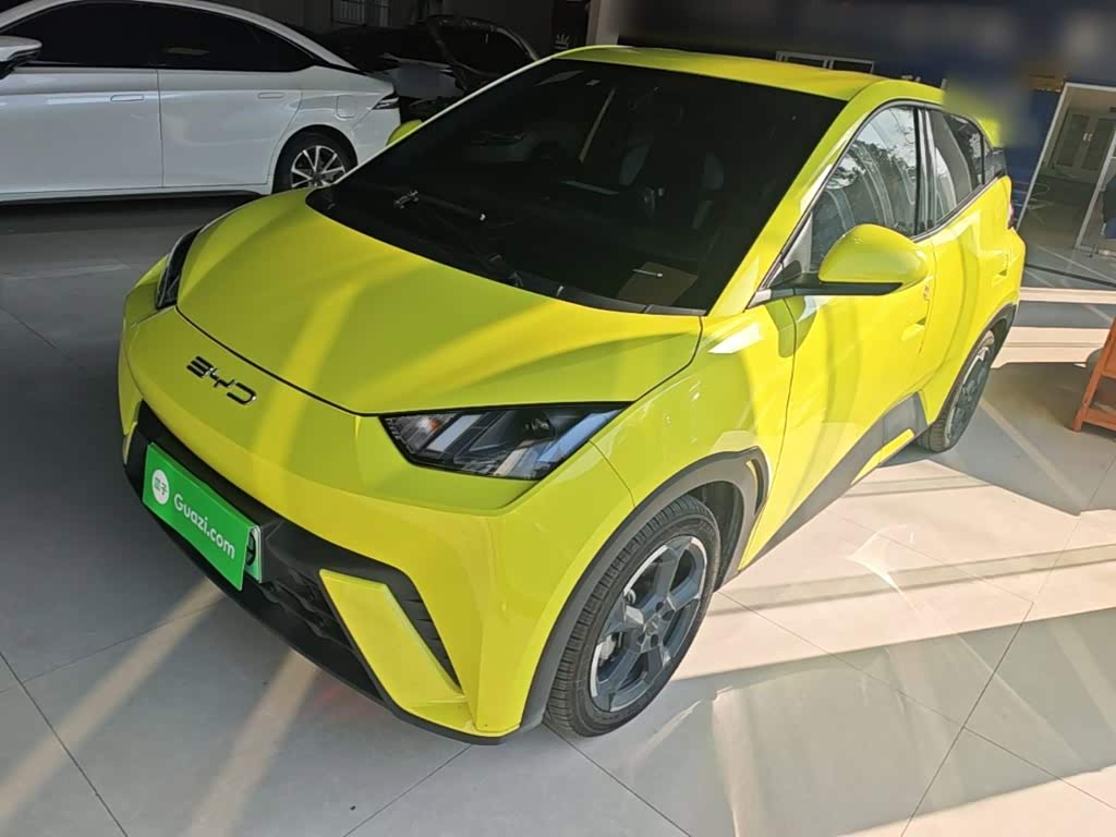 BYD Seagull