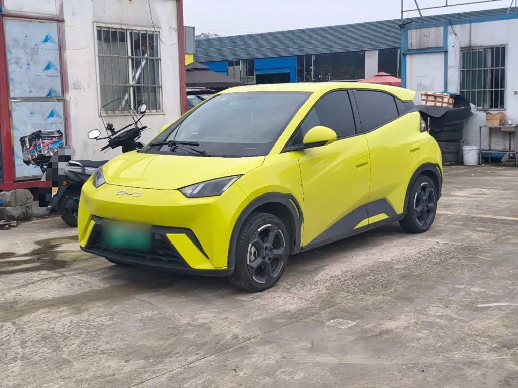 BYD Seagull