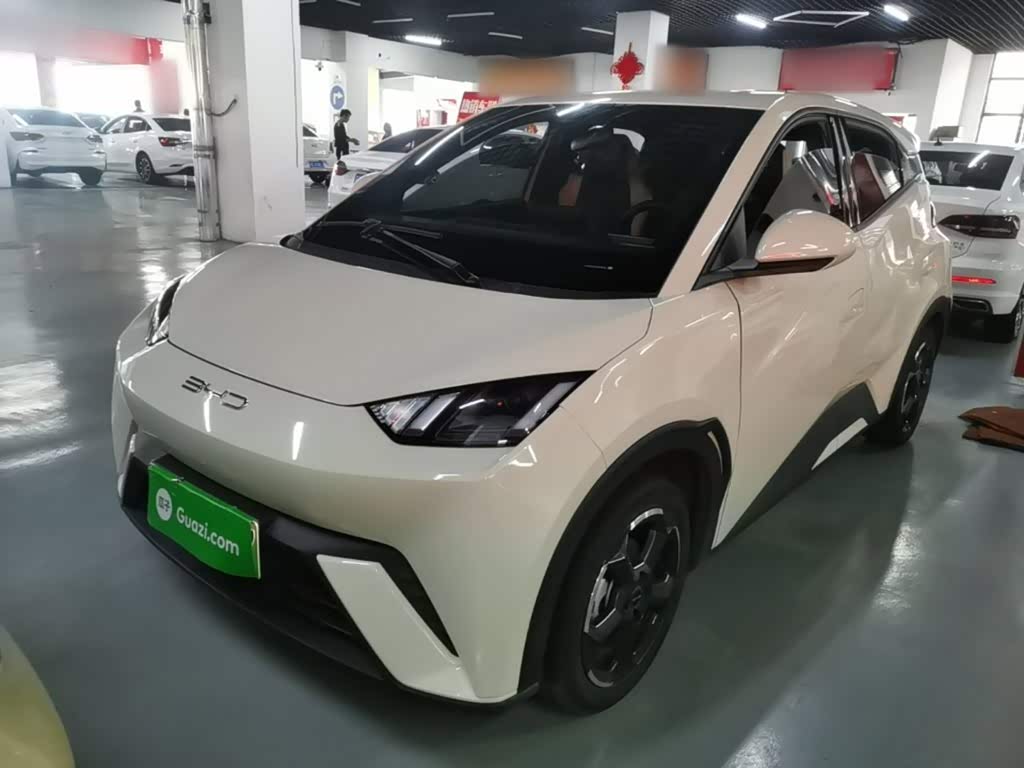 BYD Seagull