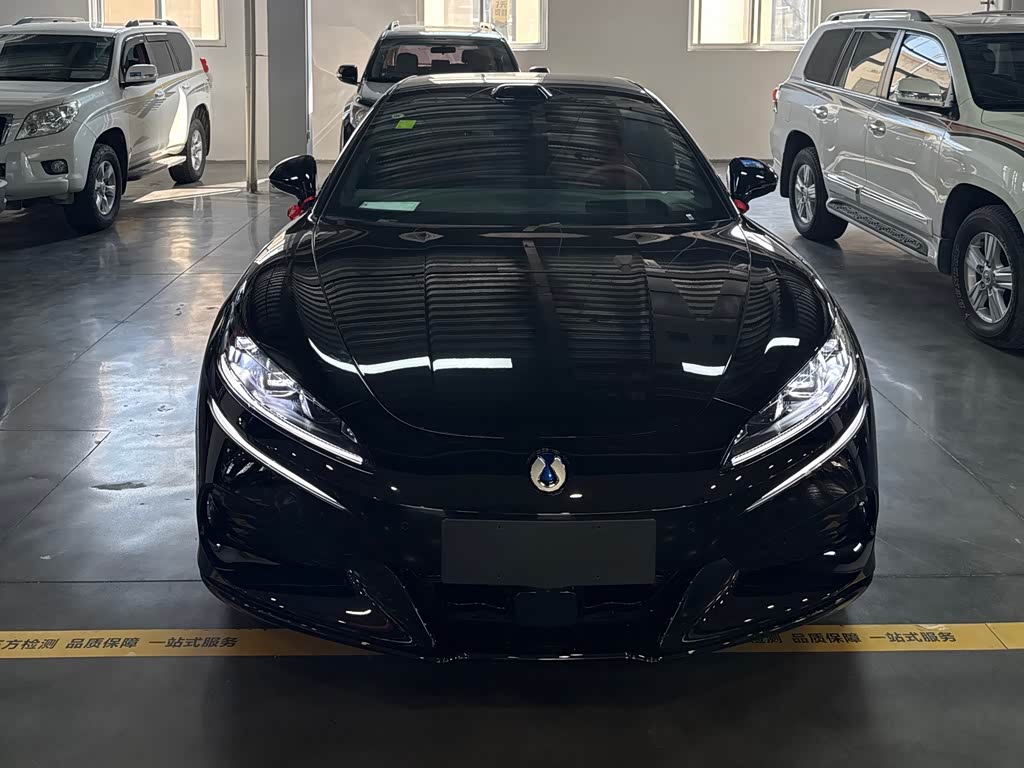 Denza Z9GT
