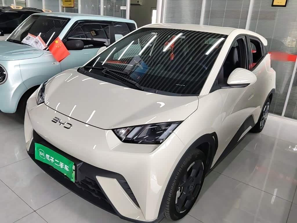 BYD Seagull