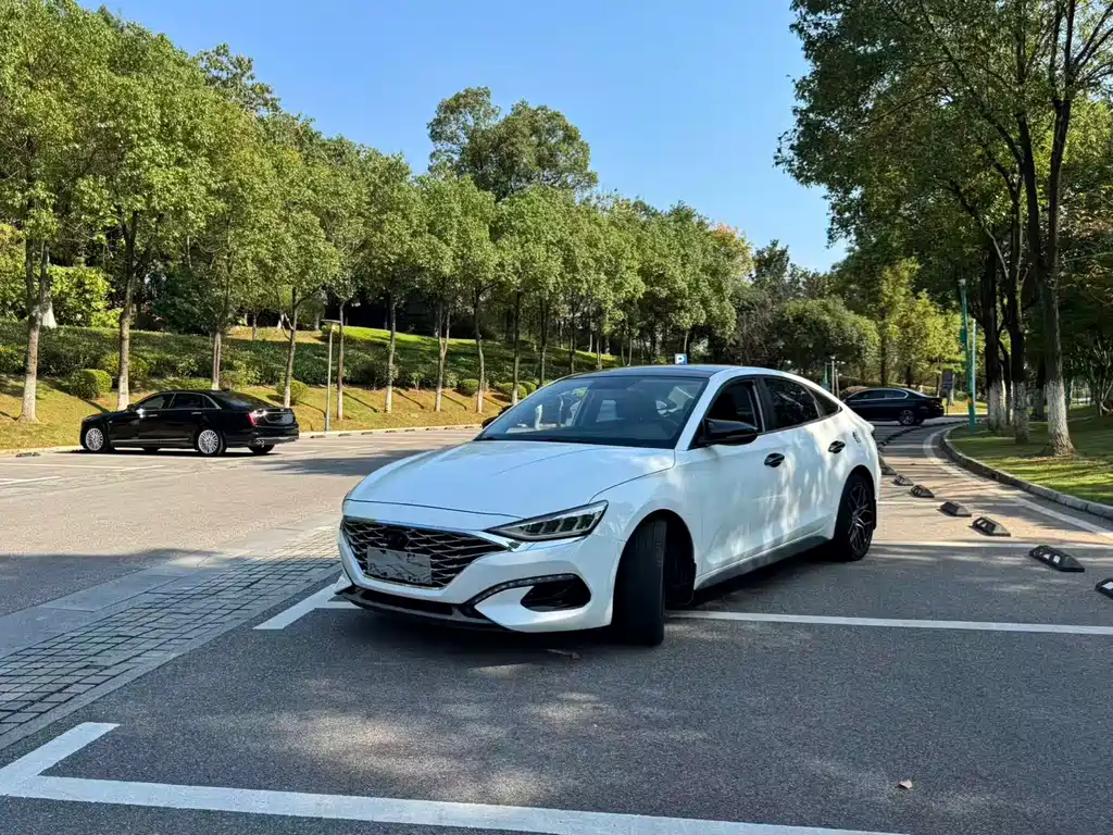Hyundai Lafesta