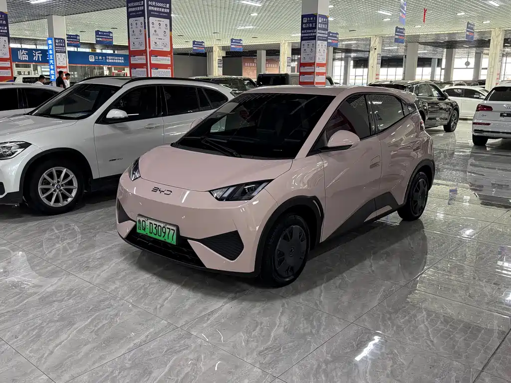 BYD Seagull