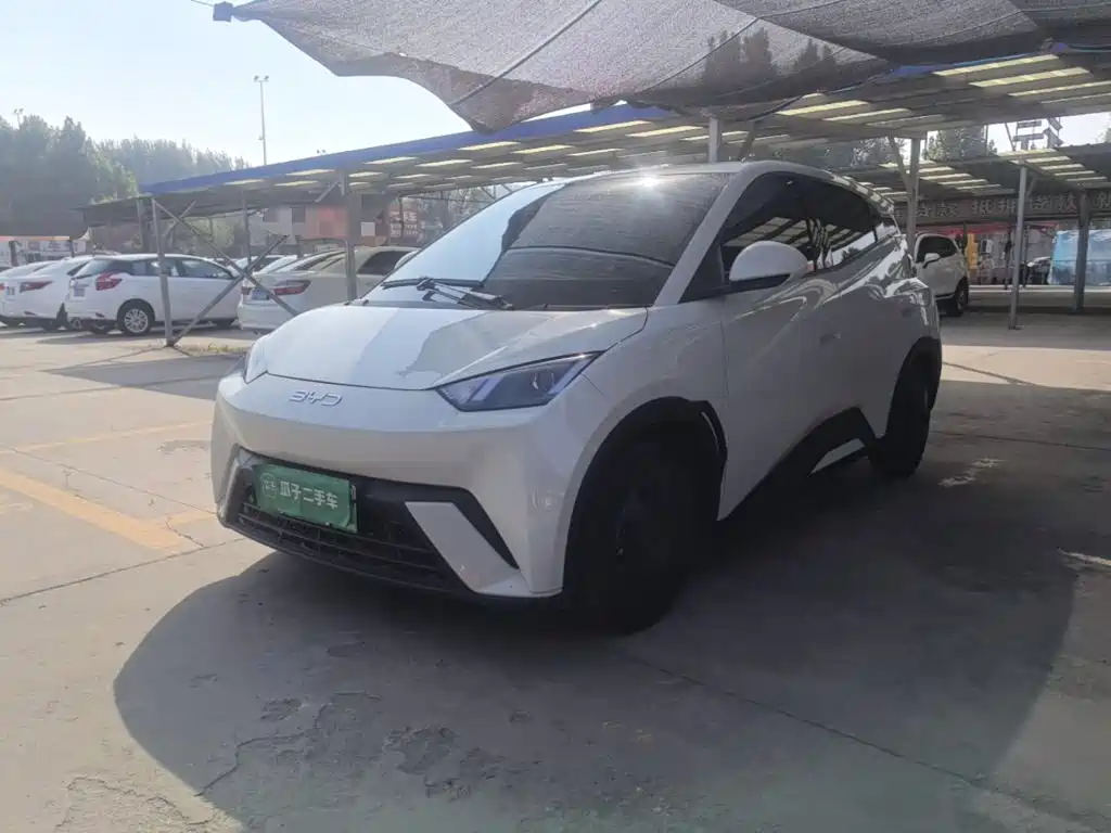BYD Seagull