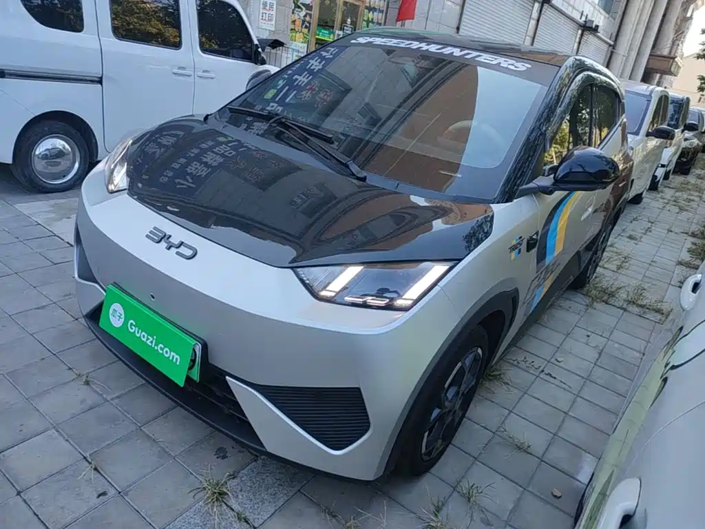 BYD Seagull