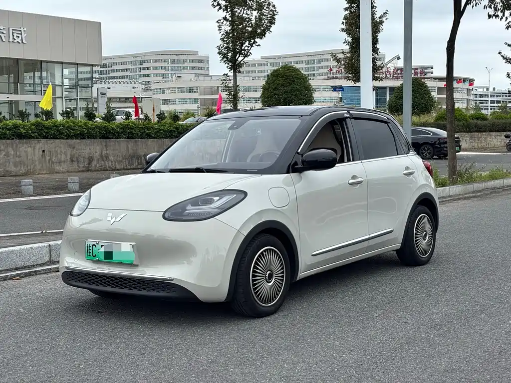 Wuling Binguo