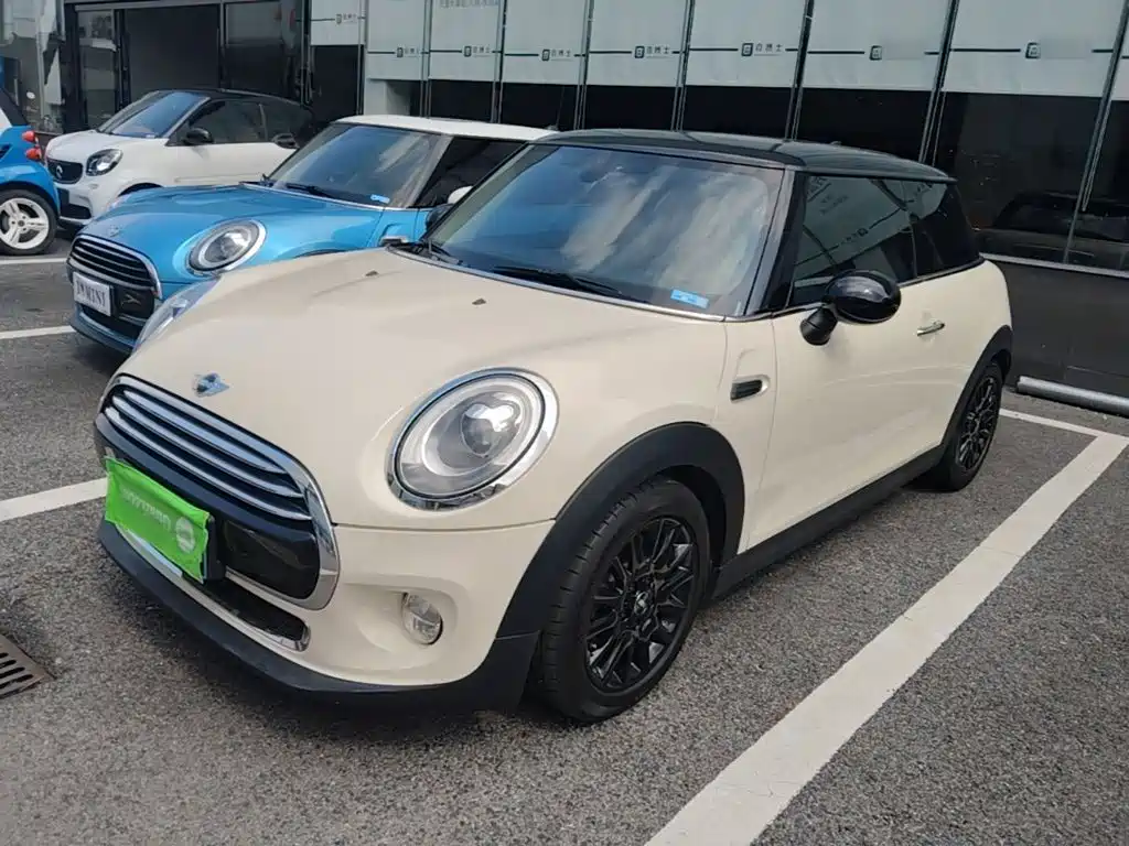 Mini Mini