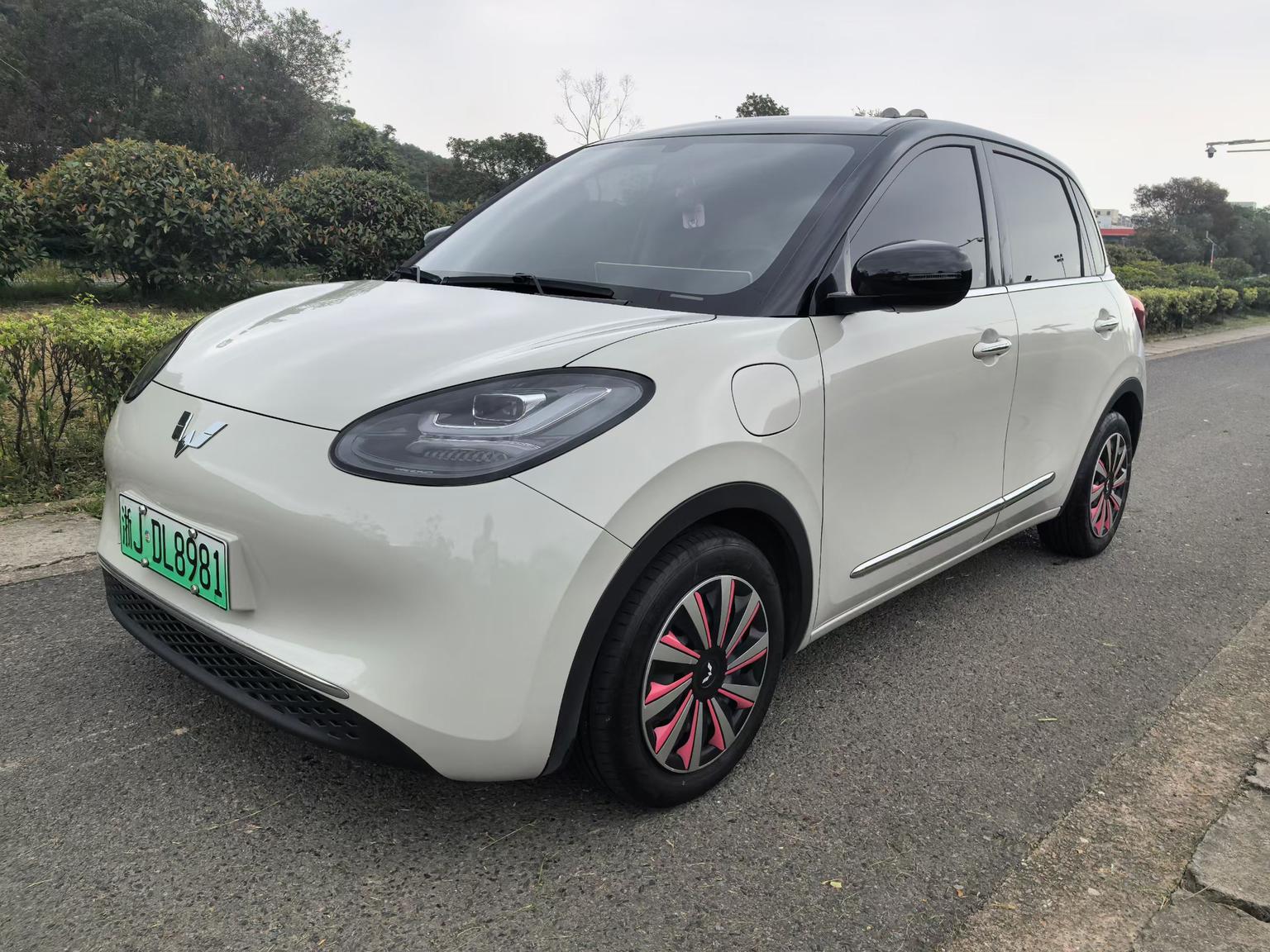 Wuling Binguo
