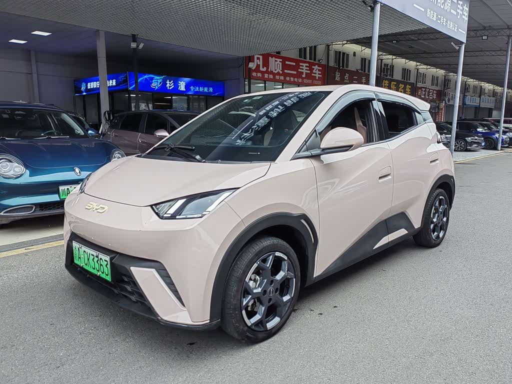 BYD Seagull