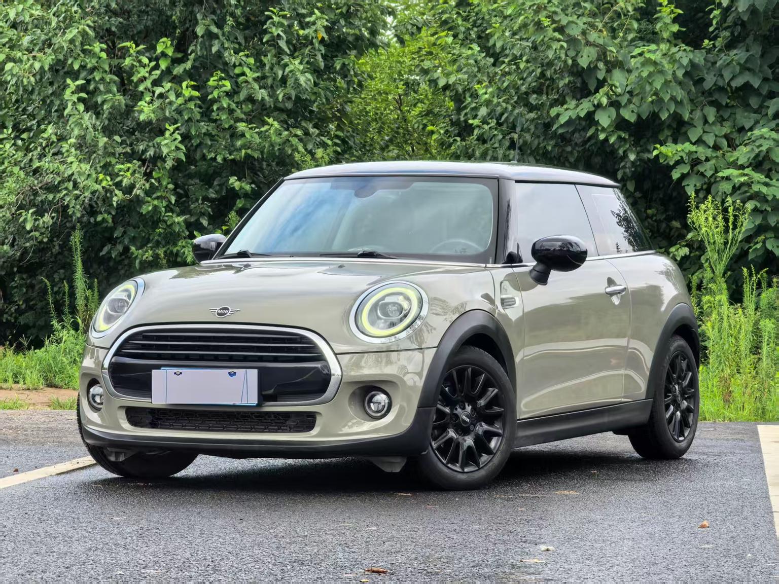 Mini Mini