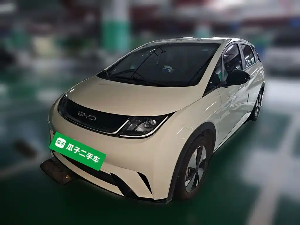 BYD Dolphin